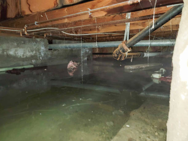Best Residential water damage restoration  in Queen Creek, AZ