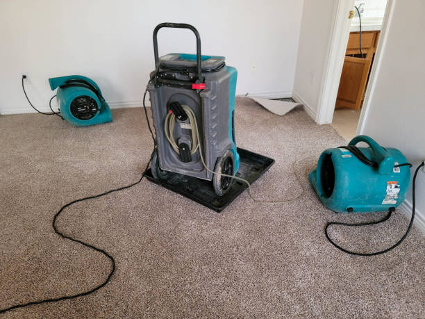 Best Local water damage restoration  in Queen Creek, AZ