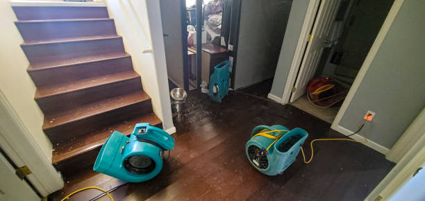 Reliable Queen Creek, AZ Water damage restoration Solutions