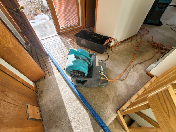  Queen Creek, AZ Water damage restoration Pros