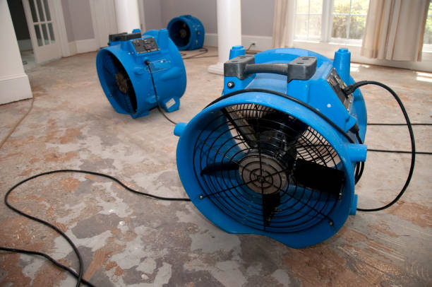 Best Water damage restoration near me  in Queen Creek, AZ