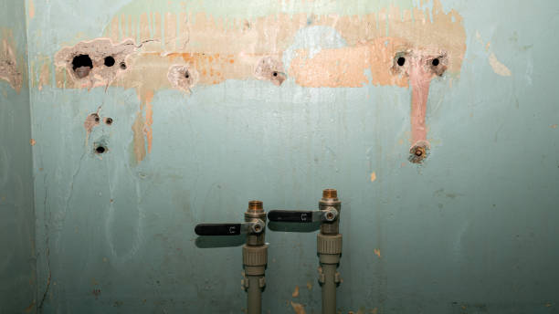 Best Water damage restoration specialists  in Queen Creek, AZ