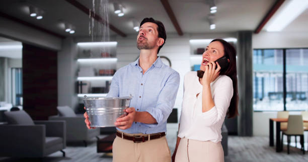 Best Sewage cleanup and water damage restoration  in Queen Creek, AZ