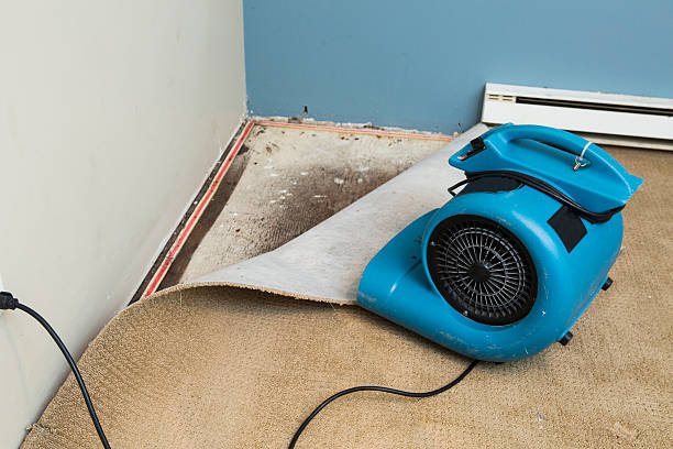 Best 24-hour water damage restoration  in Queen Creek, AZ